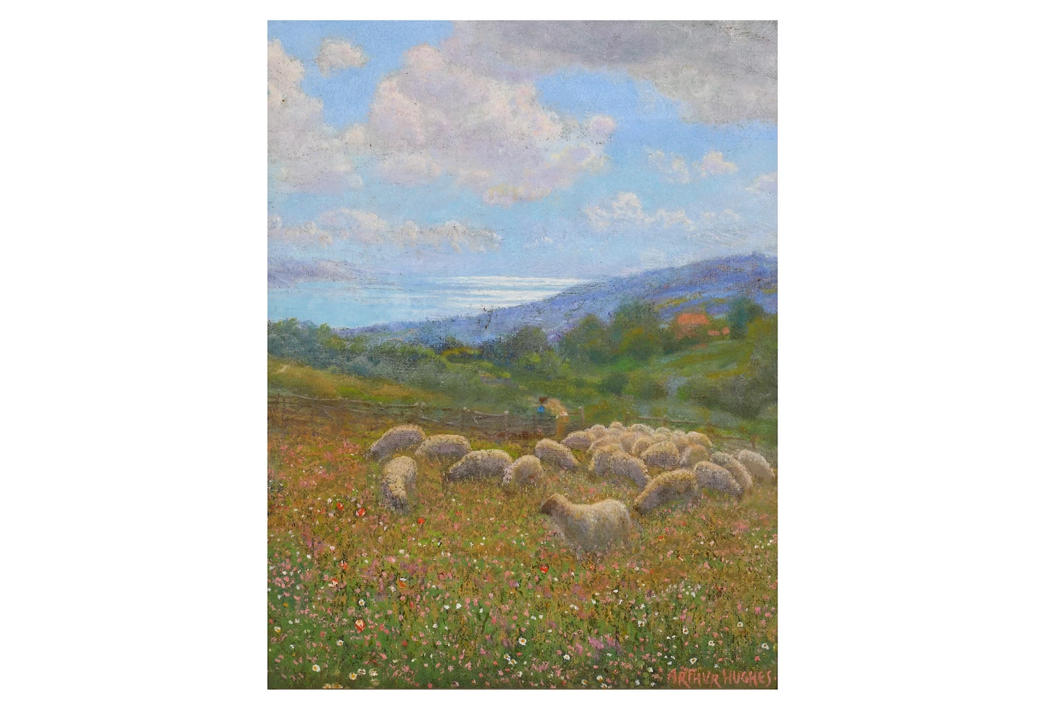Pascolo estivo